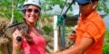 Zipline - Canopy Tours