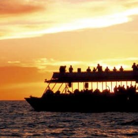 Sunset Cruise to The Arch l Tours and Activities in Cabo San Lucas
