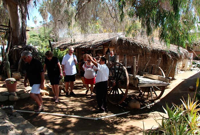 City Tour Todos Santos