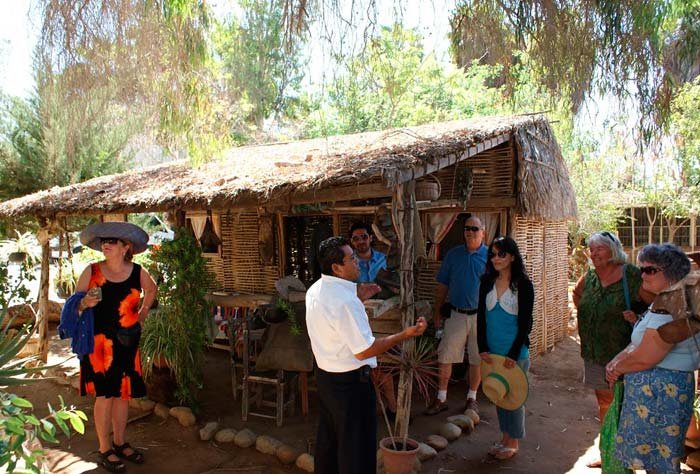 City Tour Todos Santos