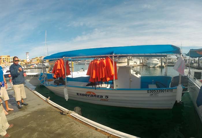 Glass Bottom Boat - Water Taxi