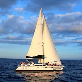 Private Sailing Boats Tours and Activities in Cabo San Lucas