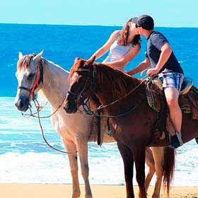 Horseback riding Migriño & Corridor l Tours and Activities in Cabo San Lucas