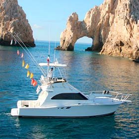 Cabo Sport Fishing