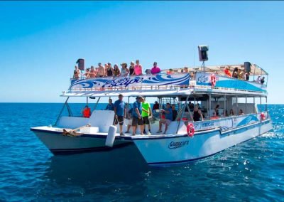 Whale Watching