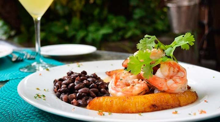 Top 15 Best Restaurants in San Jose del Cabo Top 15 Best Restaurants in San Jose del Cabo