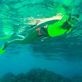 Beach Hopper Snorkeling Tour l Tours and Activities in Cabo San Lucas