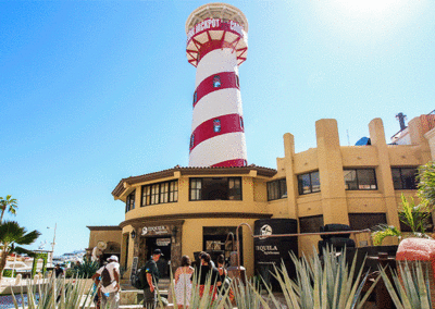 Explore Los Cabos Tour