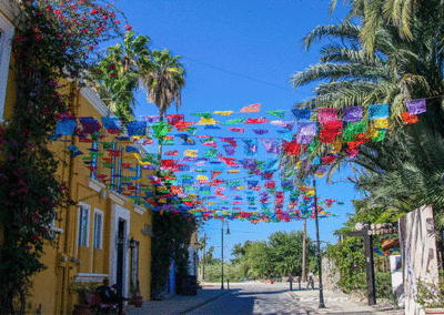 Explore Los Cabos Tour