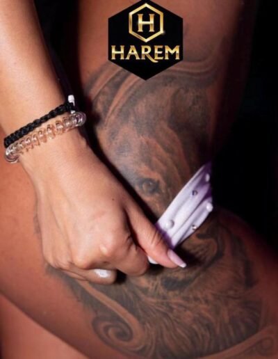 Harem Los Cabos