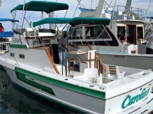 Cabo Sport Fishing
