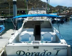 Cabo Sport Fishing