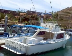 Cabo Sport Fishing