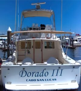 Cabo Sport Fishing