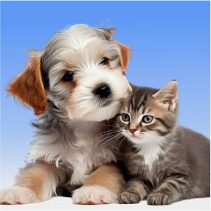 Pet Screwworm Certificate - Los Cabos